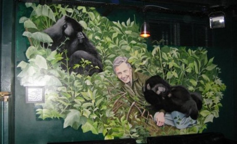 David Attenborough Mural